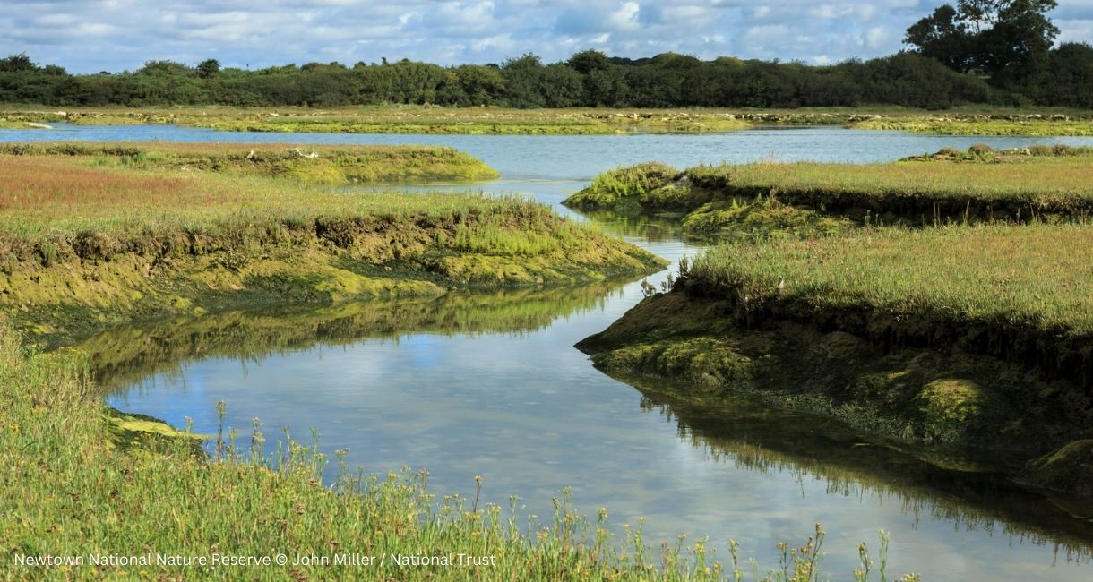 Newtown Nature Reserve, Isle of Wight